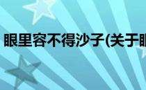 眼里容不得沙子(关于眼里容不得沙子的简介)