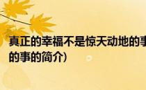 真正的幸福不是惊天动地的事(关于真正的幸福不是惊天动地的事的简介)