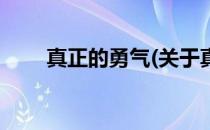 真正的勇气(关于真正的勇气的简介)