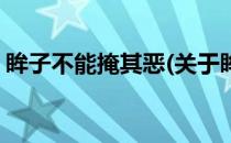 眸子不能掩其恶(关于眸子不能掩其恶的简介)