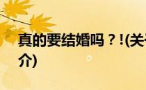真的要结婚吗？!(关于真的要结婚吗？!的简介)