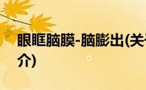 眼眶脑膜-脑膨出(关于眼眶脑膜-脑膨出的简介)