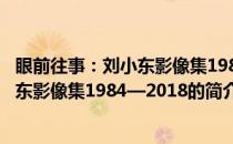 眼前往事：刘小东影像集1984—2018(关于眼前往事：刘小东影像集1984—2018的简介)