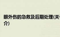 眼外伤的急救及后期处理(关于眼外伤的急救及后期处理的简介)