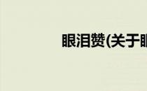 眼泪赞(关于眼泪赞的简介)