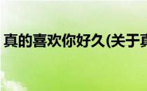 真的喜欢你好久(关于真的喜欢你好久的简介)
