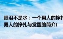眼泪不是水：一个男人的挣扎与觉醒(关于眼泪不是水：一个男人的挣扎与觉醒的简介)