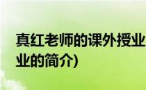 真红老师的课外授业(关于真红老师的课外授业的简介)