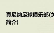 真尼纳足球俱乐部(关于真尼纳足球俱乐部的简介)