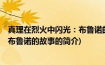 真理在烈火中闪光：布鲁诺的故事(关于真理在烈火中闪光：布鲁诺的故事的简介)
