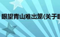 眼望青山难出笼(关于眼望青山难出笼的简介)