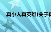 真小人真英雄(关于真小人真英雄的简介)