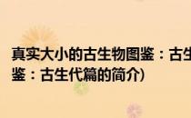 真实大小的古生物图鉴：古生代篇(关于真实大小的古生物图鉴：古生代篇的简介)