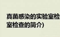 真菌感染的实验室检查(关于真菌感染的实验室检查的简介)