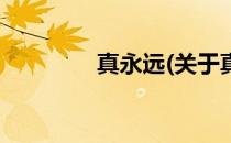 真永远(关于真永远的简介)
