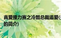 真爱接力赛之冷酷总裁追爱(关于真爱接力赛之冷酷总裁追爱的简介)
