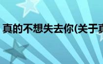 真的不想失去你(关于真的不想失去你的简介)