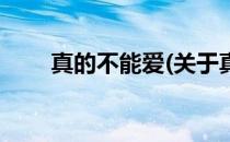 真的不能爱(关于真的不能爱的简介)