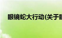 眼镜蛇大行动(关于眼镜蛇大行动的简介)