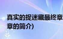 真实的捉迷藏最终章(关于真实的捉迷藏最终章的简介)