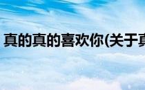 真的真的喜欢你(关于真的真的喜欢你的简介)
