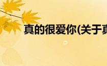 真的很爱你(关于真的很爱你的简介)