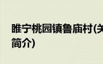 睢宁桃园镇鲁庙村(关于睢宁桃园镇鲁庙村的简介)