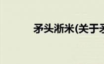 矛头淅米(关于矛头淅米的简介)
