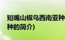 短嘴山椒鸟西南亚种(关于短嘴山椒鸟西南亚种的简介)