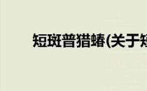 短斑普猎蝽(关于短斑普猎蝽的简介)