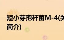 短小芽孢杆菌M-4(关于短小芽孢杆菌M-4的简介)