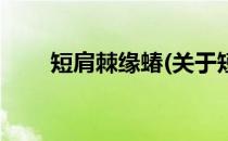 短肩棘缘蝽(关于短肩棘缘蝽的简介)