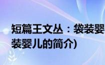 短篇王文丛：袋装婴儿(关于短篇王文丛：袋装婴儿的简介)