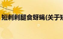 短刺刺腿食蚜蝇(关于短刺刺腿食蚜蝇的简介)