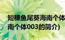 短穗鱼尾葵海南个体003(关于短穗鱼尾葵海南个体003的简介)