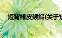 短背鳍皮颏鱵(关于短背鳍皮颏鱵的简介)