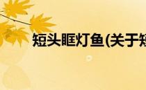 短头眶灯鱼(关于短头眶灯鱼的简介)