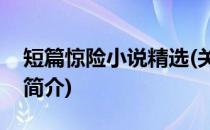 短篇惊险小说精选(关于短篇惊险小说精选的简介)