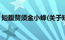短腹赘须金小蜂(关于短腹赘须金小蜂的简介)