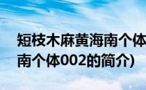 短枝木麻黄海南个体002(关于短枝木麻黄海南个体002的简介)