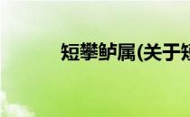短攀鲈属(关于短攀鲈属的简介)