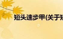 短头速步甲(关于短头速步甲的简介)