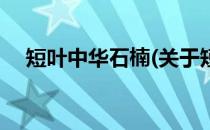短叶中华石楠(关于短叶中华石楠的简介)