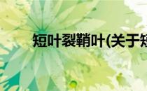 短叶裂鞘叶(关于短叶裂鞘叶的简介)