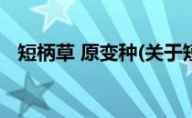 短柄草 原变种(关于短柄草 原变种的简介)