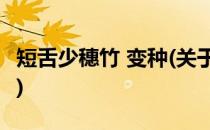 短舌少穗竹 变种(关于短舌少穗竹 变种的简介)