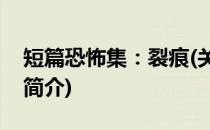 短篇恐怖集：裂痕(关于短篇恐怖集：裂痕的简介)