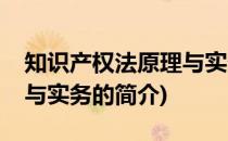 知识产权法原理与实务(关于知识产权法原理与实务的简介)