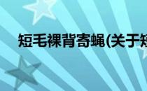 短毛裸背寄蝇(关于短毛裸背寄蝇的简介)