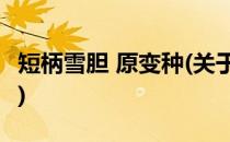 短柄雪胆 原变种(关于短柄雪胆 原变种的简介)